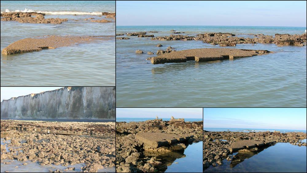 FranceFisher2019a