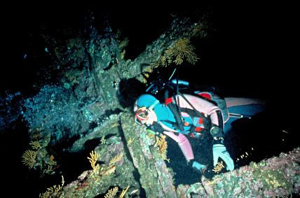 Anne Joncheray explore les cales du Liban