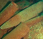 Les obus des péniches d'Anthéor