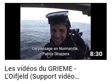Oifjeld2019b