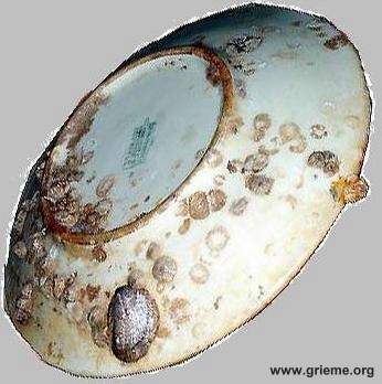 Vaisselle Albertville