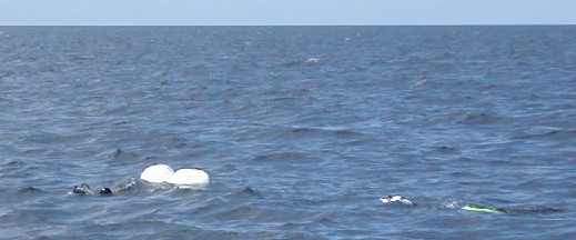 2 parachutes maintiennent l'hélice