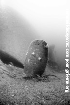 Hélice du Braga sortant du sable