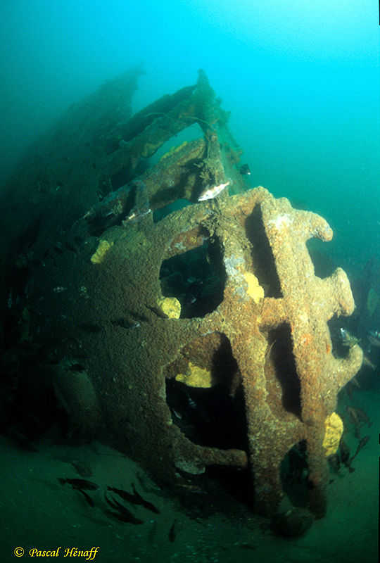 L'étrave du Californian