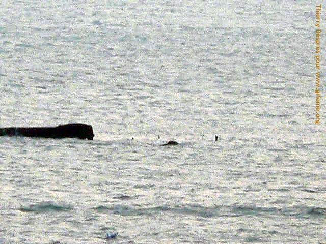 Les vestiges du Bruges