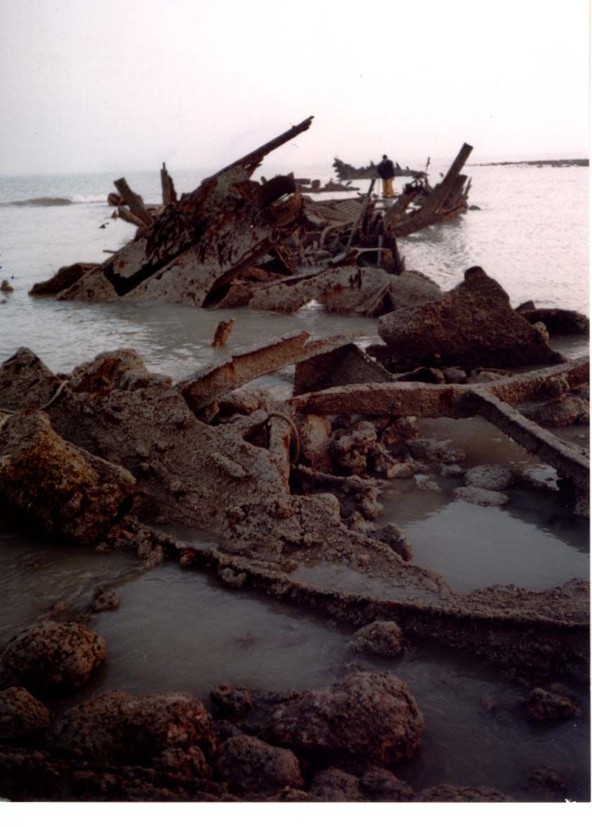 Les restes du Cérons lors de grandes marées en 1997 (Photo GRIEME)