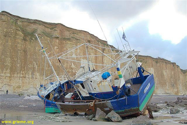 Echoué à proximité de la côte