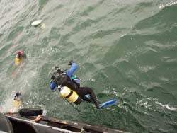 Au coup de sirène... le saut droit en Mer du Nord