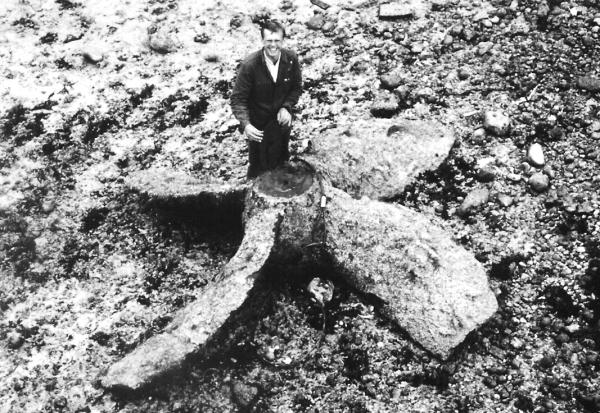 F. MATHIEU et l'hélice du COONAGH à St Valery en Caux