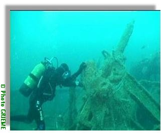Pom-Pom du Daffodil.... silencieux pour l'éternité !