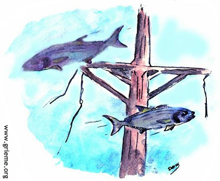 Aquarelle de Dany Loridon