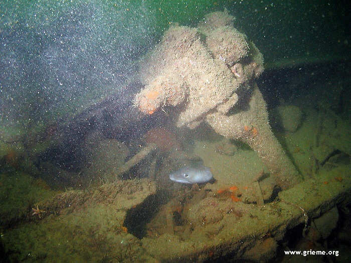 Les bielles du Falke