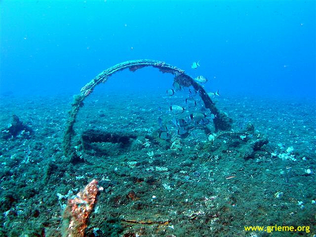 Le Ferrando par Dominique Resse