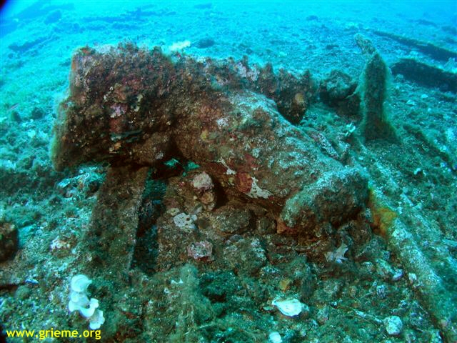 Le Ferrando par Dominique Resse