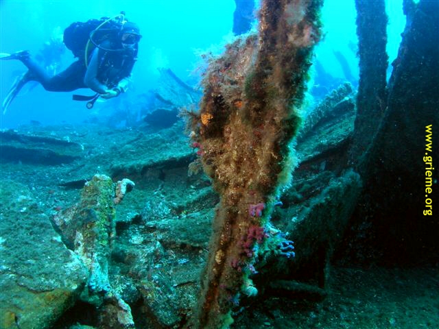 Le Ferrando par Dominique Resse