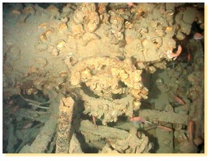 Volant de manoeuvre du GUARANI