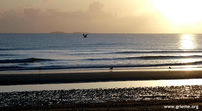 Les iles St Marcouf