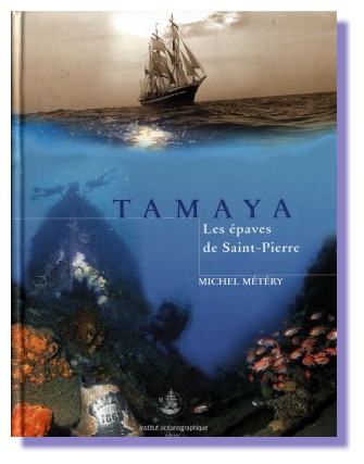 Le Tamaya par Michel METERY