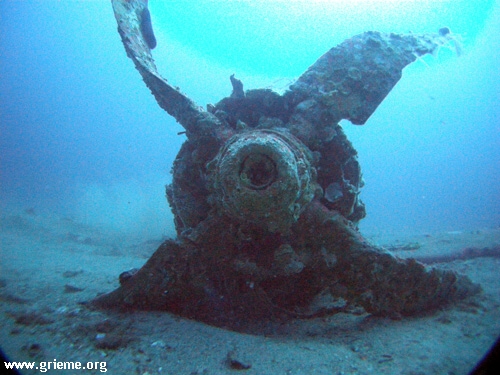 Le Mustang vu par le GRIEME