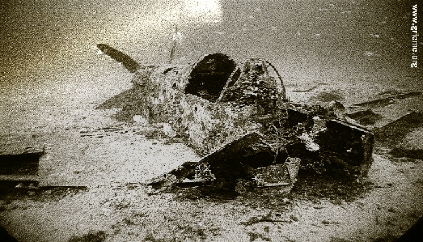 Le Mustang en noir et blanc