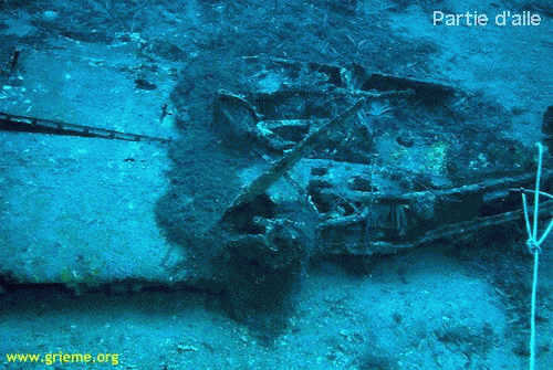 Le Mustang en quelques clichés