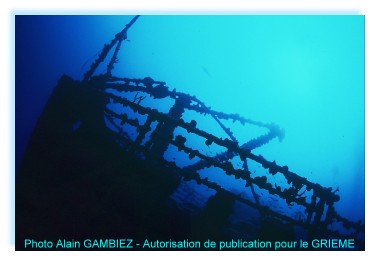 Le voile se lève sur ROSALIE MOLLER