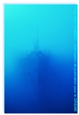 Majestueuse beauté de ROSALIE MOLLER....