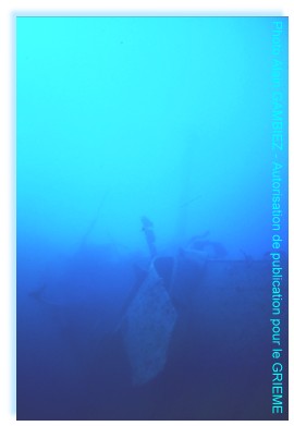 Trace de la blessure mortelle, une déchirure fatale....