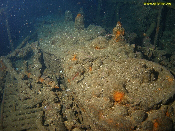 Le moteur du Sagona