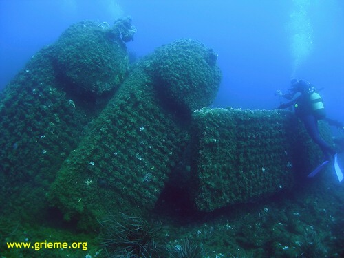 Le Grieme sur le Spahis