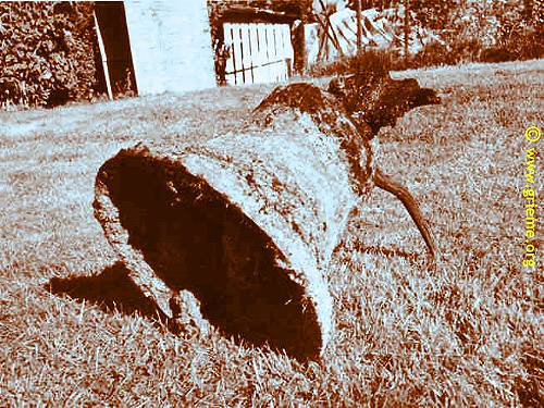 La cloche du Saint-Simon