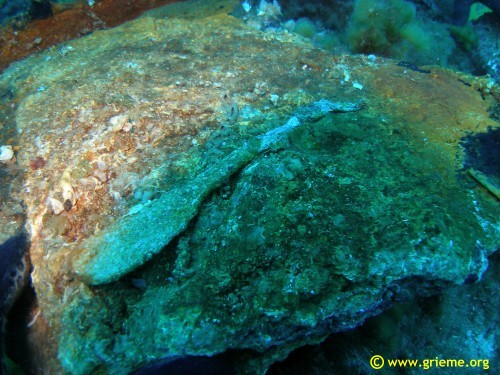 Un des trésors du Tell