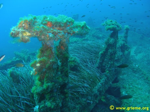 Parties hautes des membrures