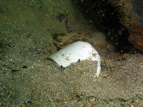 Tasse découverte par François MATHIEU