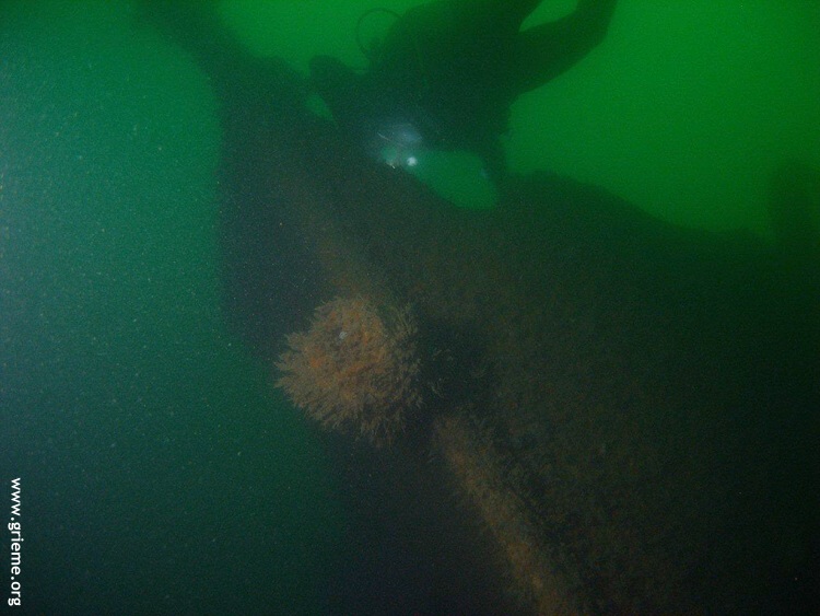 Approche de l'UJ1433