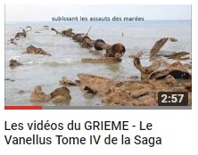 video 24