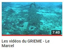 video 41