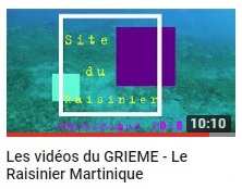 video 63